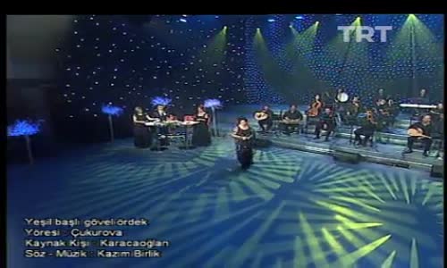 Emel Taşçıoğlu-Yeşil Başlı Gövel Ördek izle