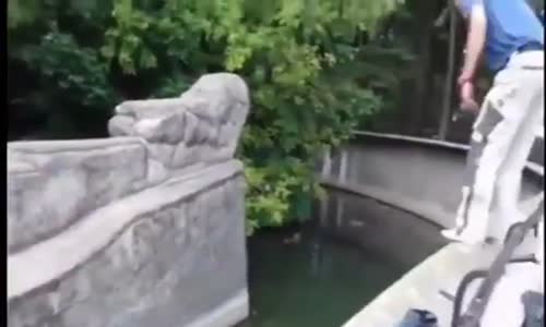 Hayvanat Bahçesinde Ayının Yanına Giren Manyak