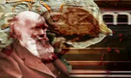 Darwinizm