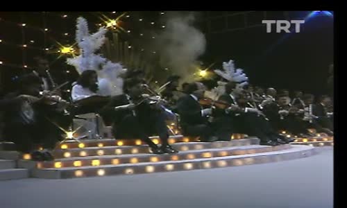 Nalan Altınörs-Sevgin Bana Ne Verdi Ki 