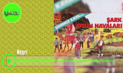Şehmuz Kaya - Negri