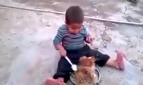 Yemeğini tavuklara kaptıran çocuğun mücadelesi