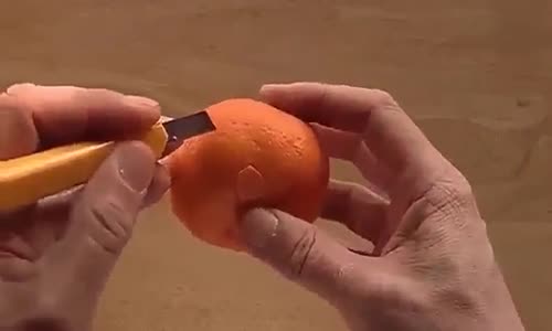 Mandalina Kabuğundan Truva Atı Yapmak İzlemesi Çok Zevkli