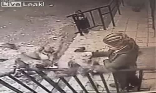 Akşam Yemeği İçin Güvercin Araklayan Kadın