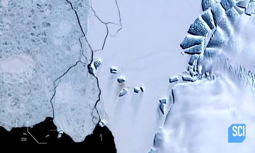 NASA: İmparator Penguenlerin Dışkıları Uzaydan Görülebiliyor