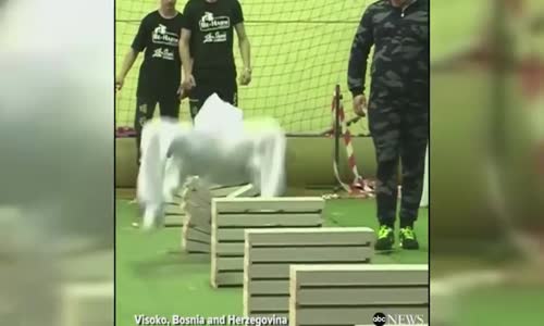 Bosnalı Dövüş Sanatçısı 35 Saniyede 111 Blok Taşı Kafasıyla Kırdı 