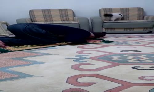 Namaz Kılan Hacının Sabrını Zorlayan Kedi