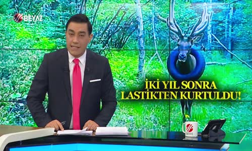 İKİ YIL SONRA LASTİKTEN KURTULDU