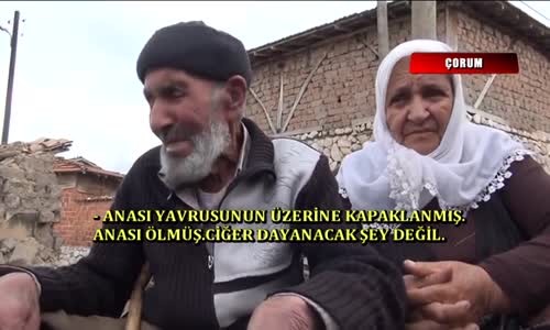 Yanan Eve Değil, Ölen Kediye Üzülen Yüreği Temiz Dede