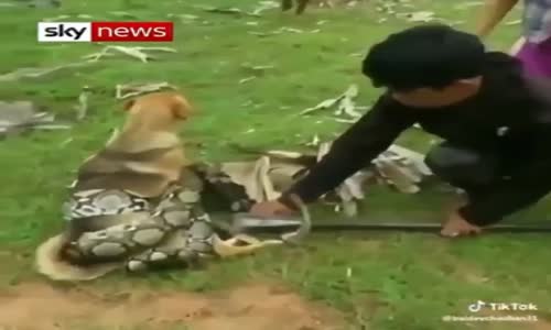 Bu çocuklara yılın iyilik ödülü verilmeli.