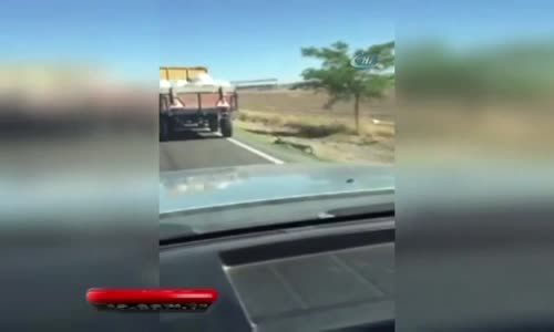 İple Römorka Bağlanan Köpek Metrelerce Sürüklendi