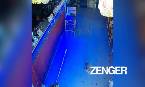 Kasadan Para Çalan Kedinin Suçüstü Yakalanması 