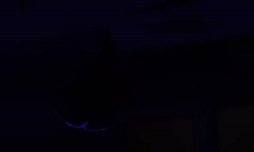 Elif Kaya - Binbir Rüya 