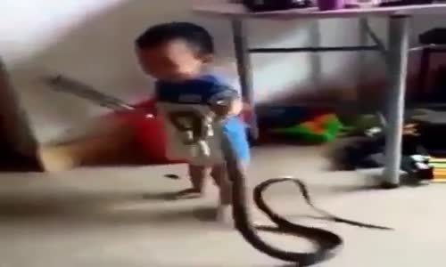 Yılanla Oynayan Küçük Çocuk