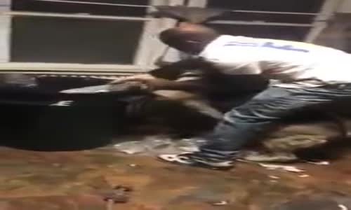 Neye Uğradını Şaşıran Alman Çoban Köpekleri1