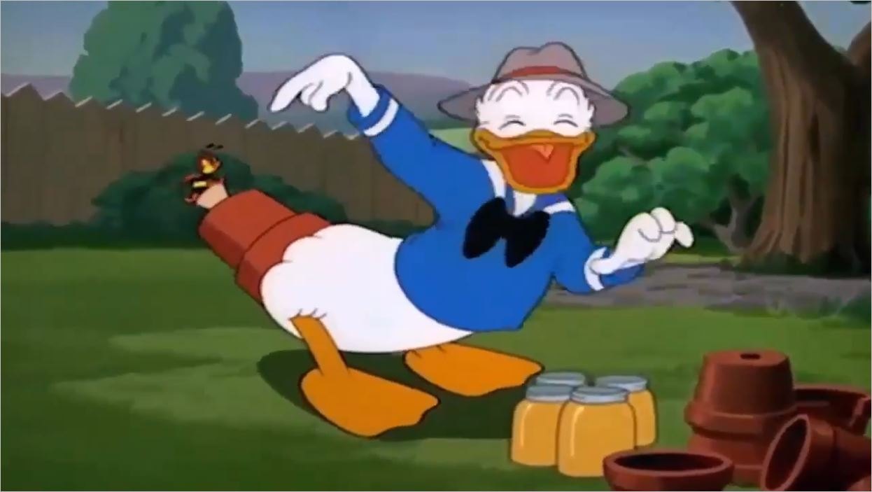 Donald Duck