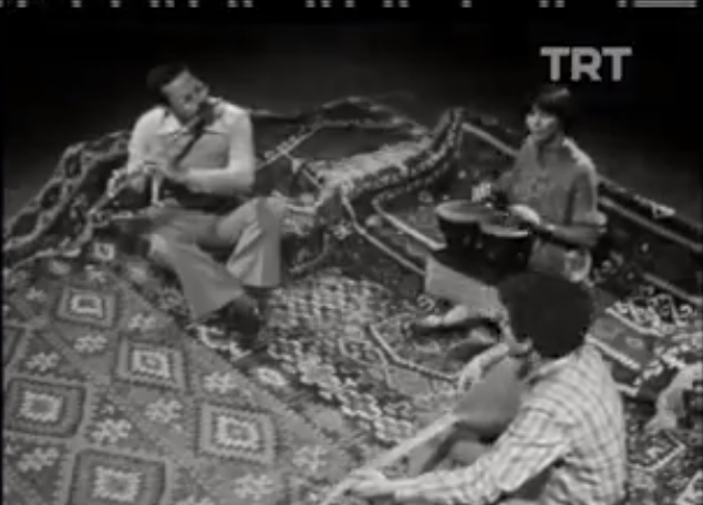 Yeni Türkü-Sardunyaya Ağıt