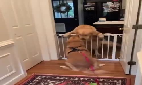 koşulsuz bir aşk kaçırmayın