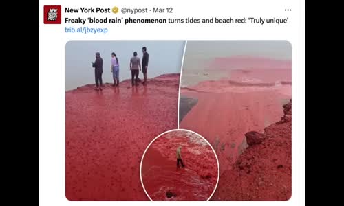 STRANGE SIGNS OF THE END TIMES ARE HAPPENING! BLOOD RAIN & RIVERS & OCEANS TURNING RED!