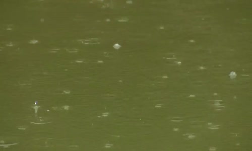 Survivor 2017 -109.Bölüm Ödül Oyunu İlk Raund! (TVden Önce)