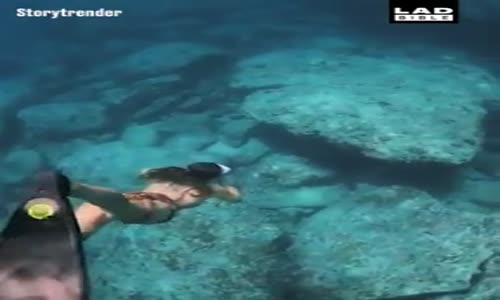 Ahtapot ile Yüzen Kız