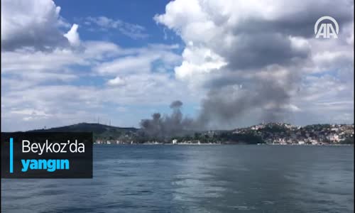 Beykoz'da Yangın