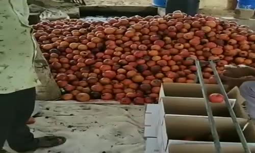 Zeka PArayla Satılmaz Dedirten çözümler.