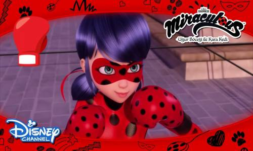 Uğur Böceği Boks Maçı Yapıyor