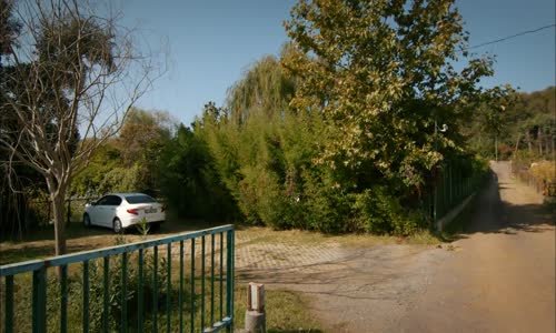 Ateşböceği - Aslıya Tuzak