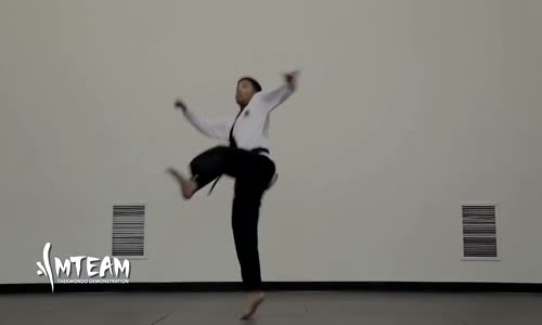 Insane Taekwondo Skills 2016