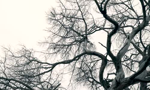 Mert Yenihayat feat. Berk Sapmaz - Veda