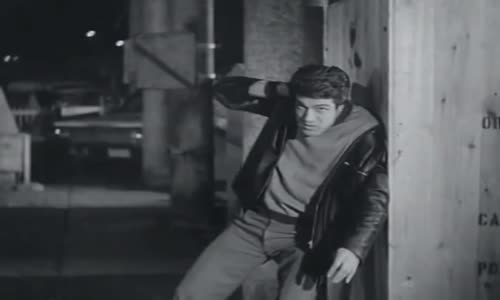 Tıpkı Filmlerdeki Artistler Gibi Dövüştün