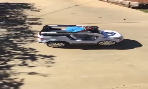 Araba Kullanırken Uyuyakalan Minik Trafik Canavarı