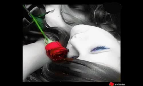 Hakan Altun Vurmayın