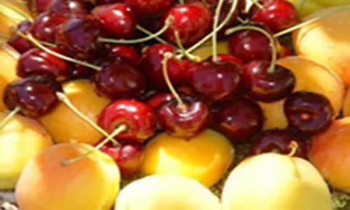 Mehmet Yakar - Arabım Fellahi ( Bahçede Mışmış)