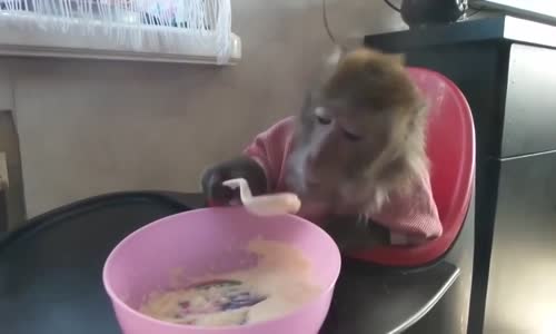 Mama Yiyen Maymun