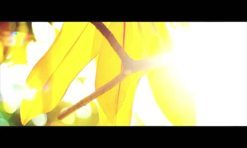 Selcan Asyalı - Zor Gibi (Official Video)