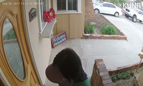 Kapıya Broşür Bırakan Kızın Aklını Alan Köpek