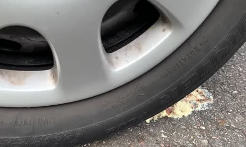 Araba -  Diş Macunu Testi # 155