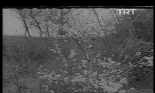 Ali Ekber Çiçek-İzzetli Hürmetli Bilirim Seni izle