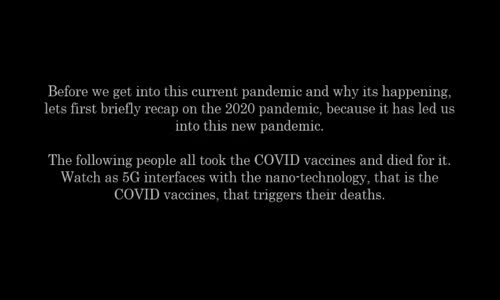 Murder By Injection - The New Pandemic Hantavirus