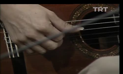 Doğan Canku-Ayrılık izle 