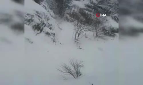 Rusya-Gürcistan sınırında Türk tır şoförleri mahsur kaldı