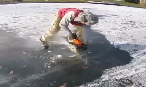 Balık Yerken Donan Balık