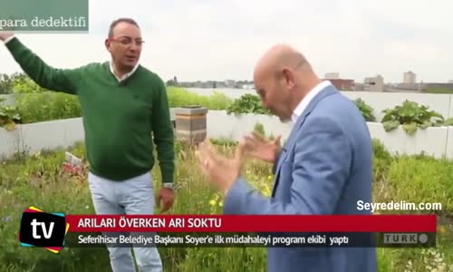 Arıları Överken Arı Soktu