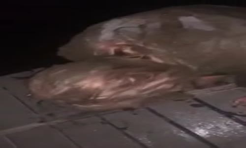 Çamurlu Göle Düşen Kızın Dramı 