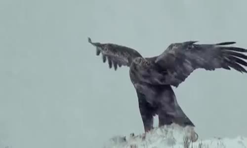 Jon Z - Enrique Iglesias - DESPUES QUE TE PERDI