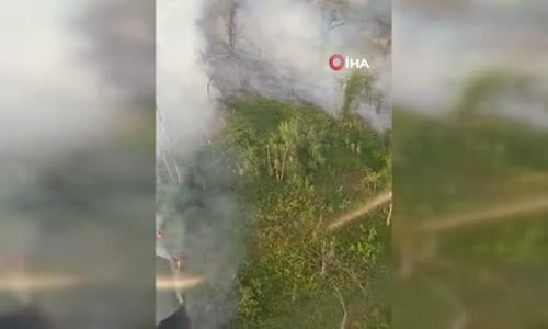 Azerbaycan’ın Gebele ilinde orman yangını çıktı 