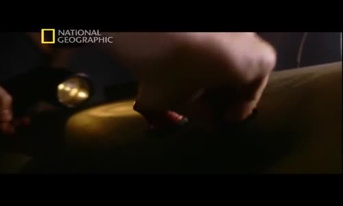 Hiroşima Ertesi Gün Belgeseli