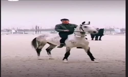 Bozkırın Atlısının Şahlanışı